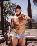 Briefs